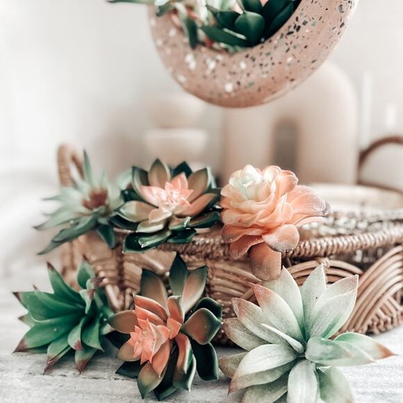 Jungalow lot succulents + terrazzo terracotta hanging circle planter boho home - Picture 7 of 8